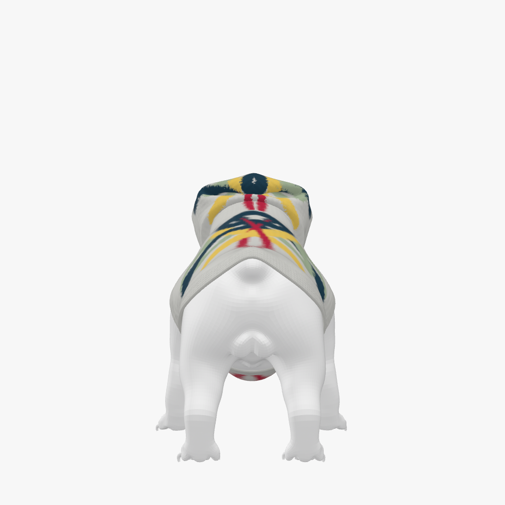Dog Hoodie '